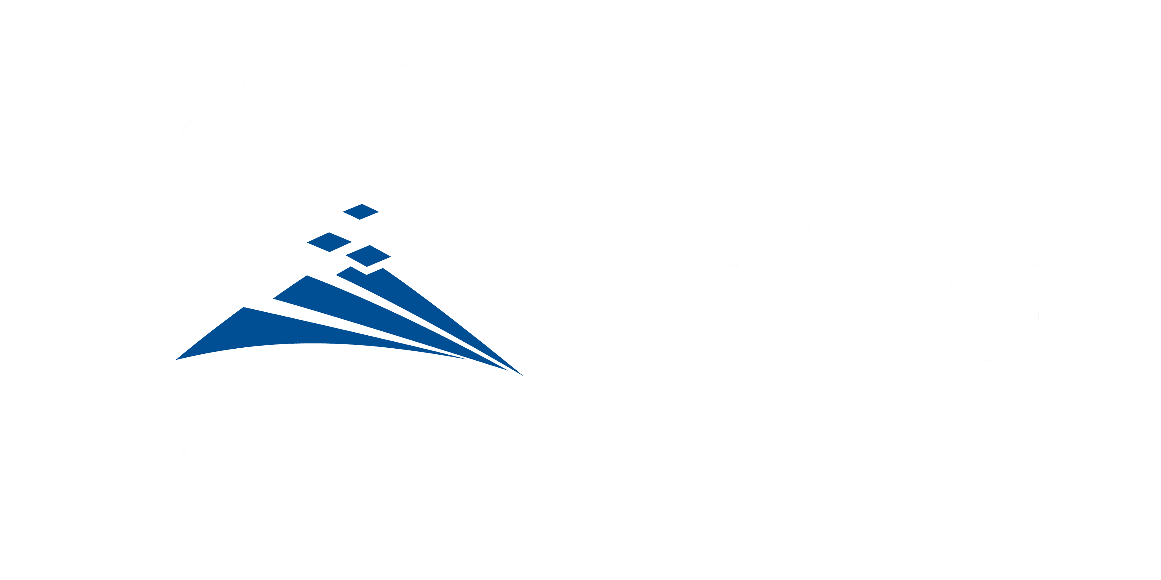 Organizador Infile - Organizador