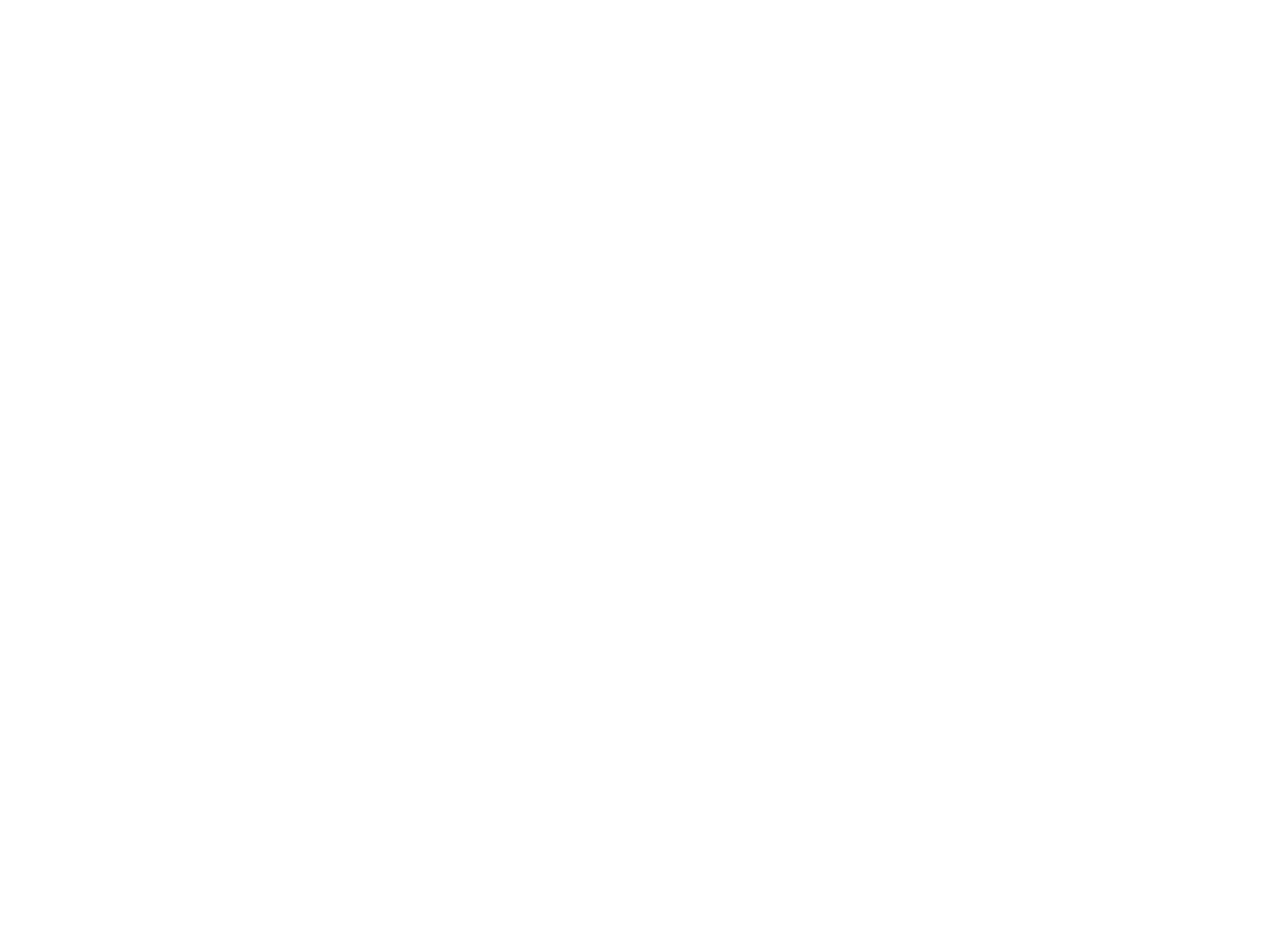 Organizador Ainnova - Organizador